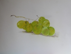 Grape Cluster; Original Colored Pencil Sketch; Denise Gracias